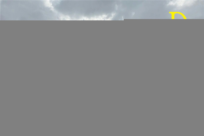 青島混凝土泵車價(jià)格 (3)